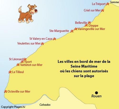 Le Kaleho, Grand Duplex Au Coeur De Dieppe - Netflix Exteriör bild